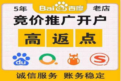 SEM竞价入门指南，经典案例分享